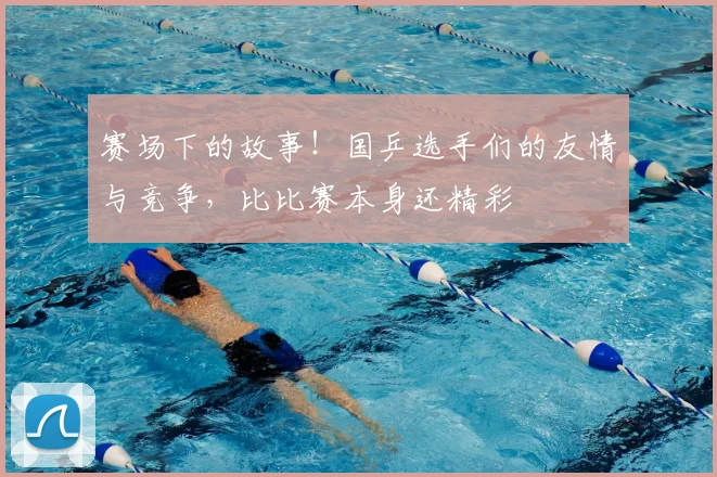 赛场下的故事!国乒选手们的友情与竞争,比比赛本身还精彩