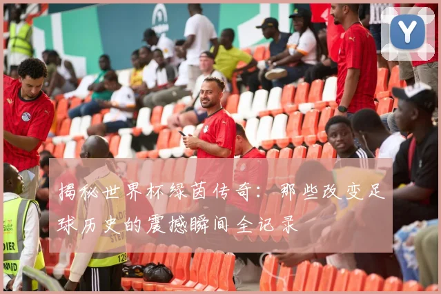 揭秘世界杯绿茵传奇：那些改变足球历史的震撼瞬间全记录